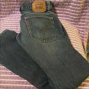 Levi's Men Dark Blue Straight Leg Jeans